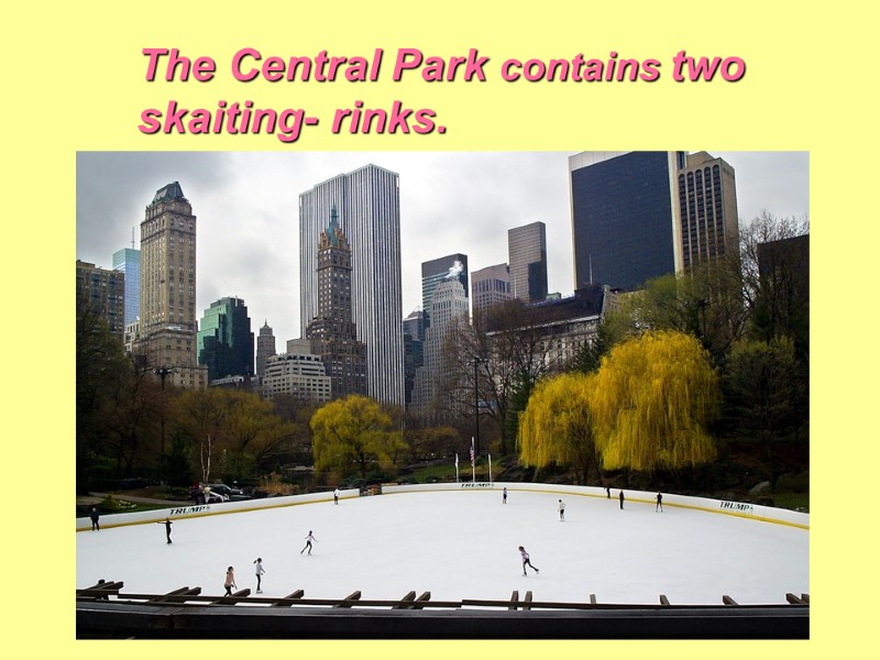 The Central Park contains two skaiting- rinks.